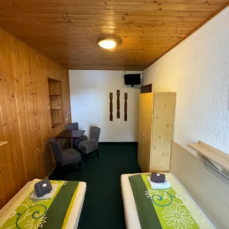 Erika 3* Boží Dar